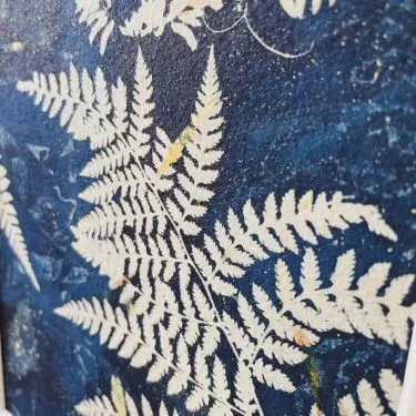 Cyjanotypia