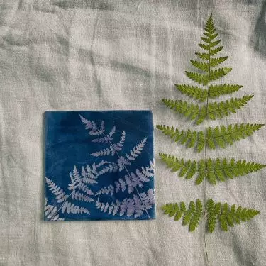 Cyanotype 
