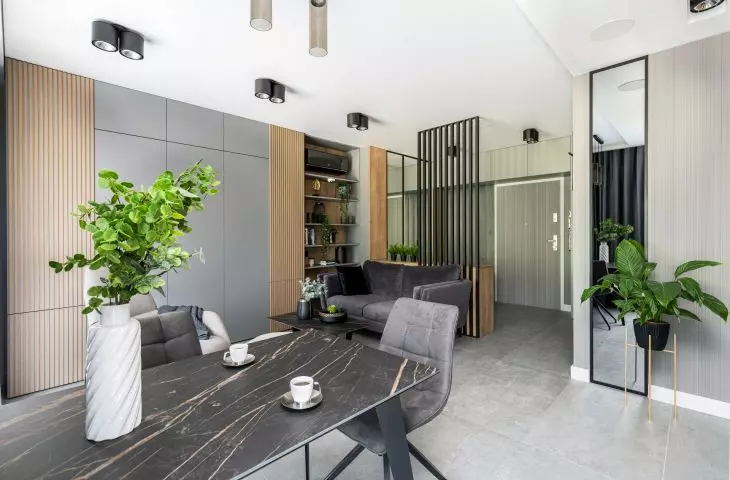 Interior of the apartment