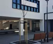 Rebuilt commercial pavilions on Świt Street in Poznań