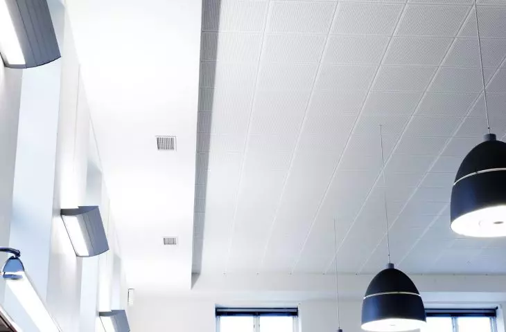 Gyptone coffered ceiling