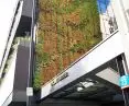 Hotel Nobu, Warszawa