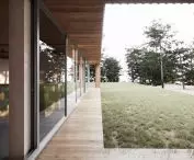 House in the glade, visualization, view from the terrace side