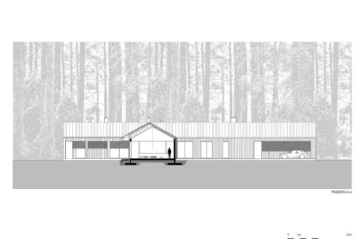 House in a clearing, cross-section