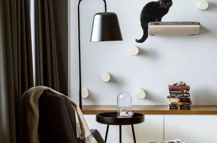 Living room with visible scratching post