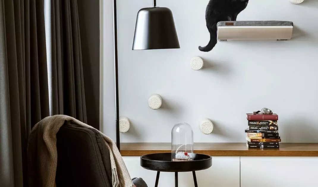 Salon z widocznym drapakiem