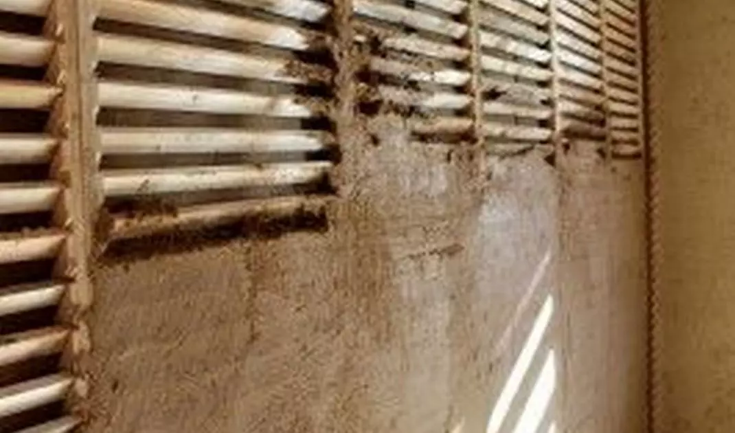 Reinforcement for clay plaster