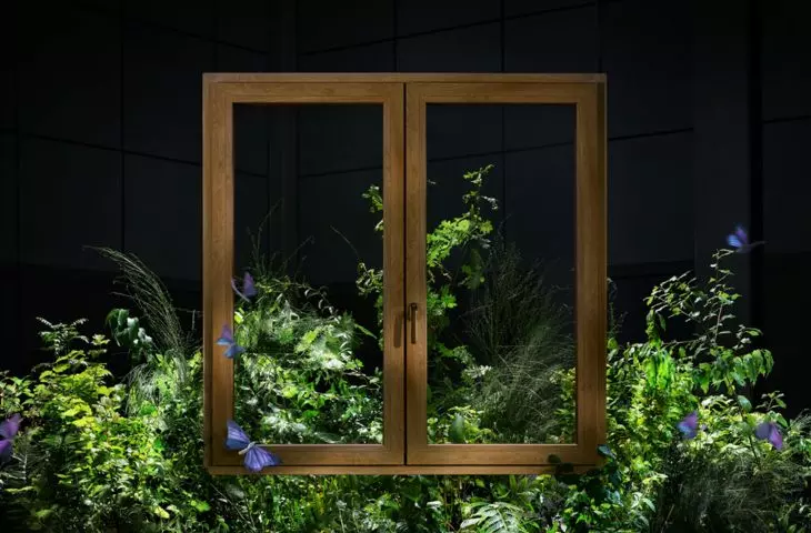 Prismatic window