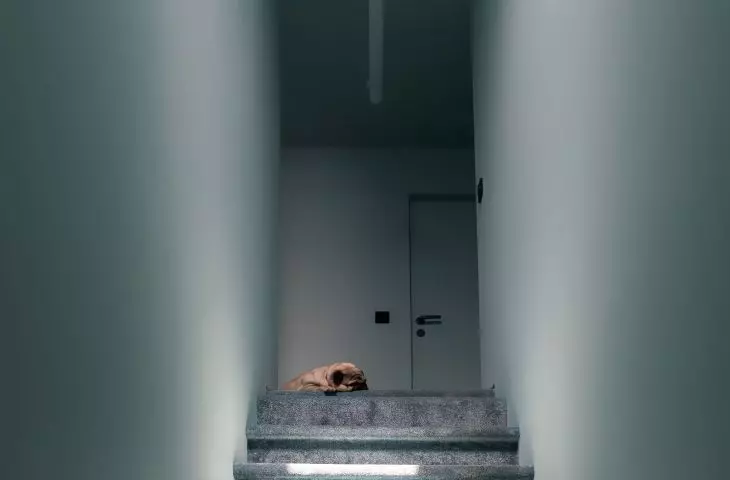 Stairs to the top