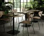 Moth collection chair and Bright Modeco Family lamps - restaurant