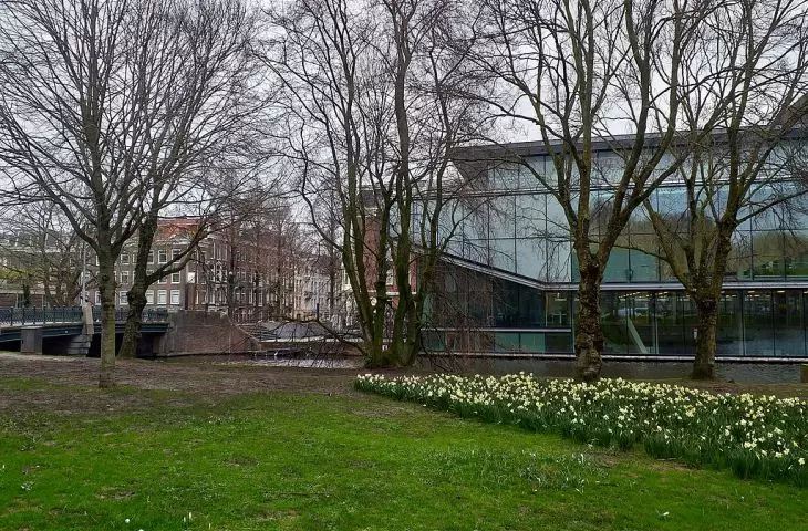 Urban trees in Amsterdam