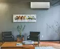 TCL Ocarina air conditioner
