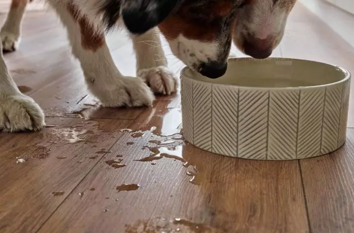 Water resistance technology provides resistance to liquids for up to 24 hours.