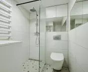 The interior of the bathroom is also kept in white