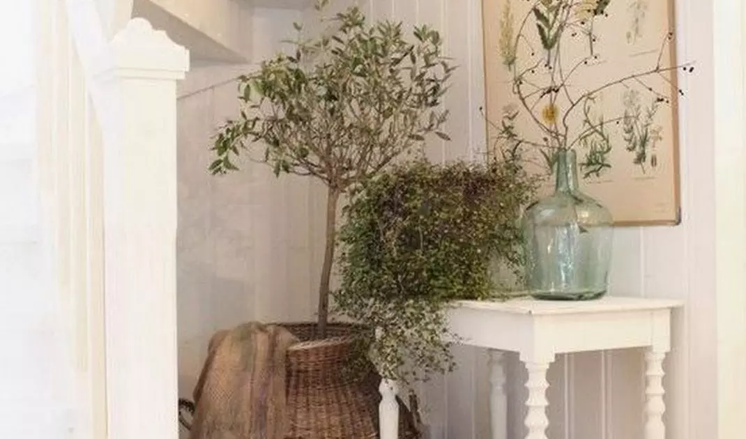 Furniture and forms have a traditional look