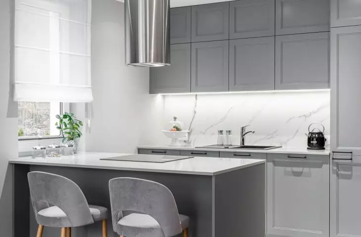Kitchen bathed in gray