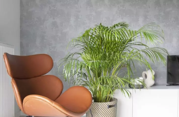 Chair