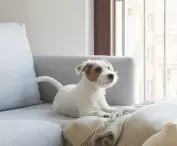 One of the residents