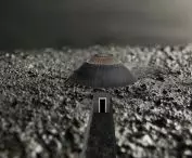 muzeum historii nienaturalnej