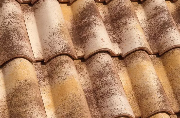 Ceramiczna dachówka antyczna Tuscany Tognana – kolor Moonlight, zbliżenie