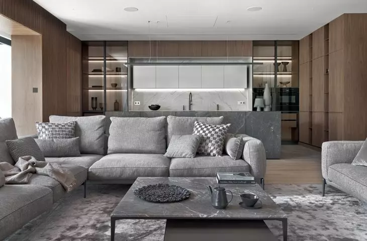 Living room and kitchen