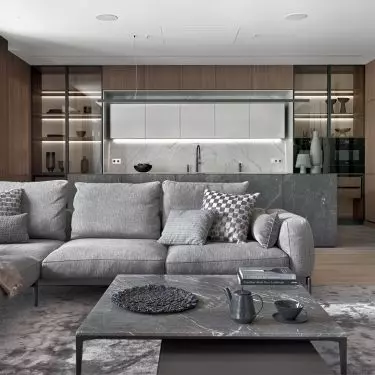 Living room and kitchen