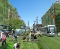 The birth of agropolis - Terreform, New York City (Steady) State 