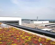 Green roof