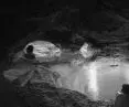 Heat cave space