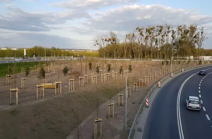 New streetcar route to Naramowice in Poznań
