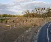 New streetcar route to Naramowice in Poznań
