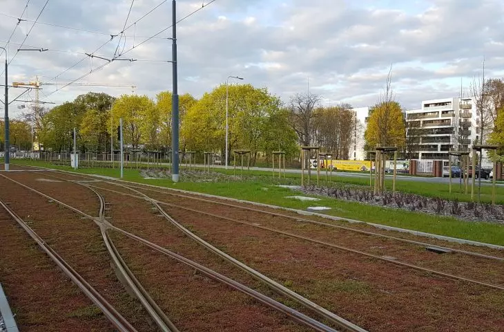 New streetcar route to Naramowice in Poznań