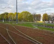New streetcar route to Naramowice in Poznań