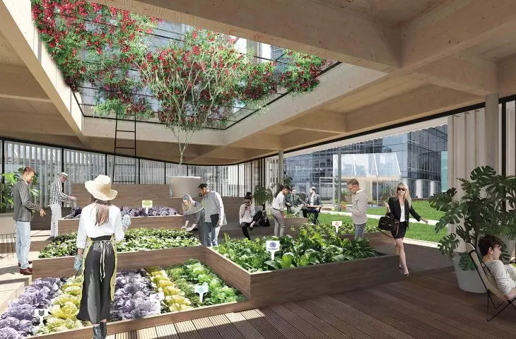 food production in the city; 