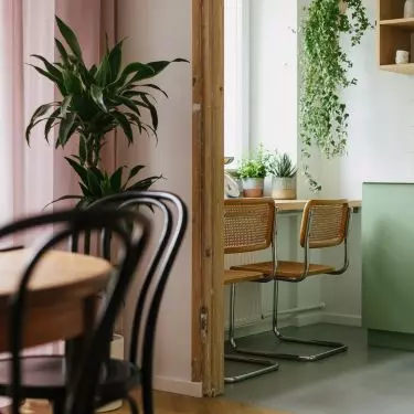 Living room and kitchen