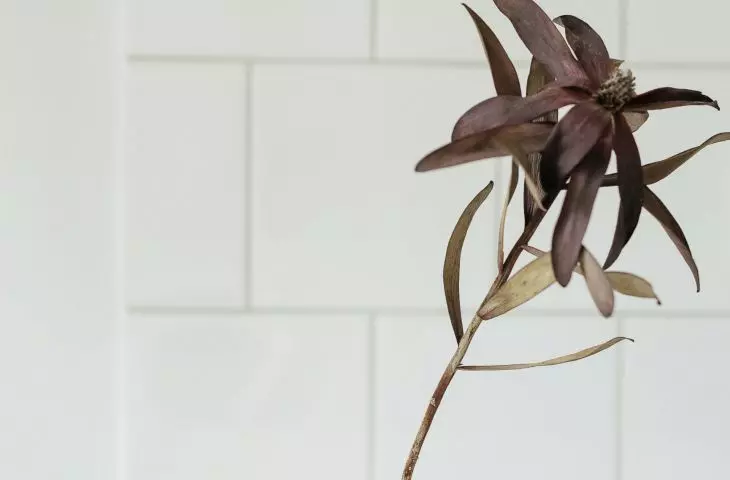 Kitchen - detail
