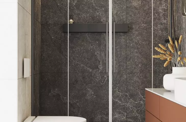first toilet