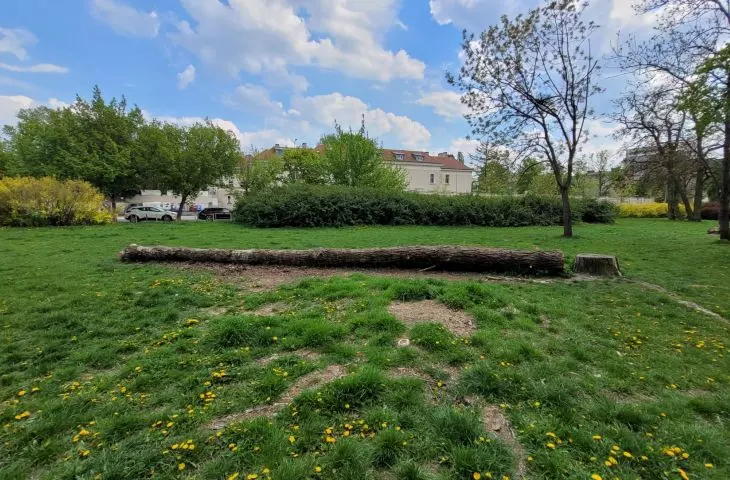 Próchnowiska, Poznan, Kasprowicz Park