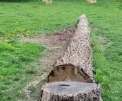 Próchnowiska, Poznan, Kasprowicz Park