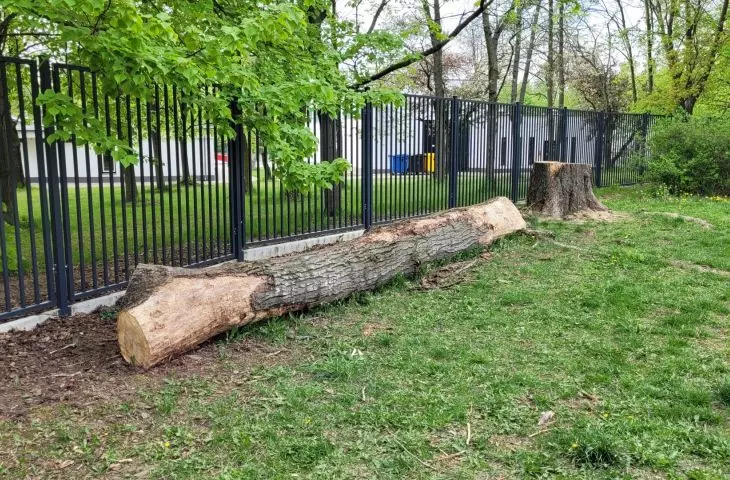 Próchnowiska, Poznan, Kasprowicz Park