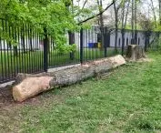 Próchnowiska, Poznan, Kasprowicz Park