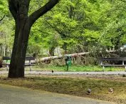 Próchnowiska, Poznan, Kasprowicz Park