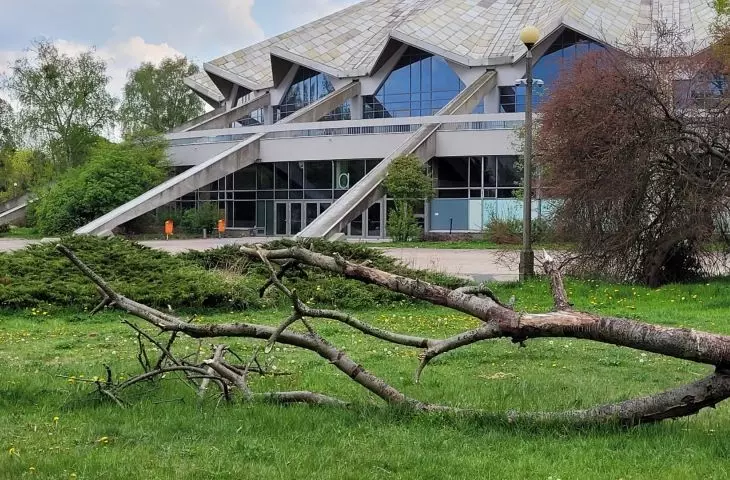 Próchnowiska, Poznan, Kasprowicz Park