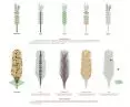 The shape of the skyscraper is inspired by the form of a traditional decorative Easter stain