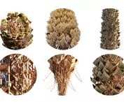 visualization of individual elements of the structure