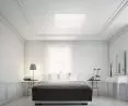windows for flat roof