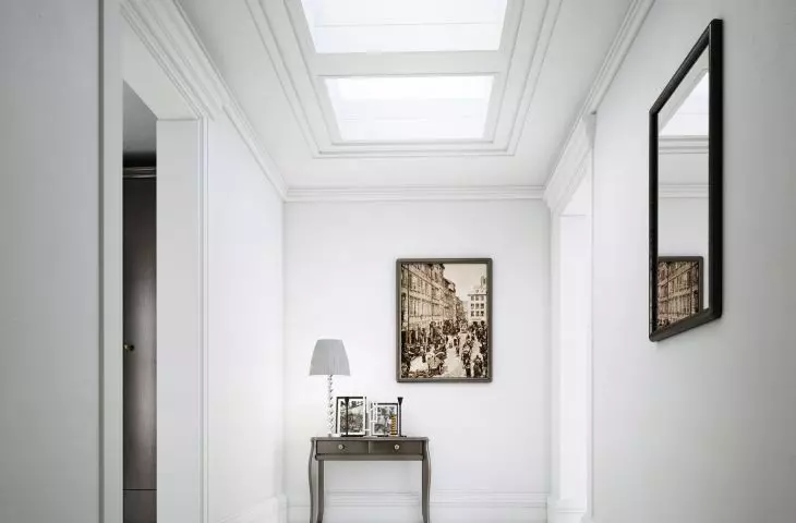 flat roof windows