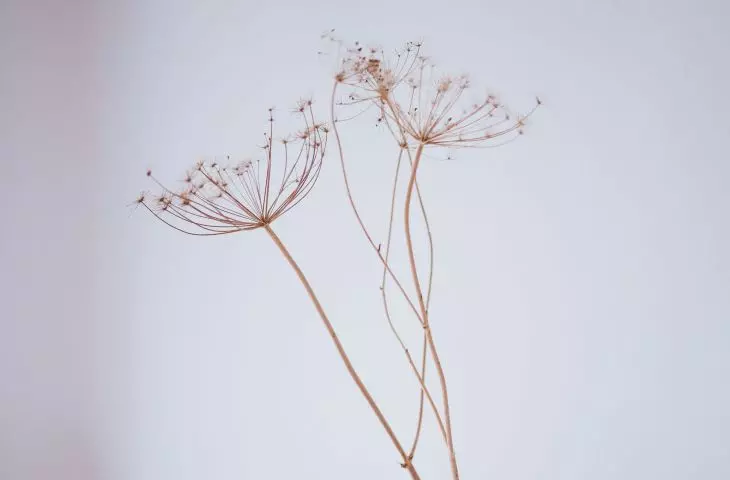As a decoration, dried flowers in an original vase will work great.
