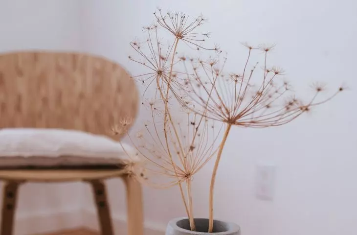 As a decoration, dried flowers in an original vase will work great.