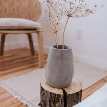 As a decoration, dried flowers in an original vase will work great.
